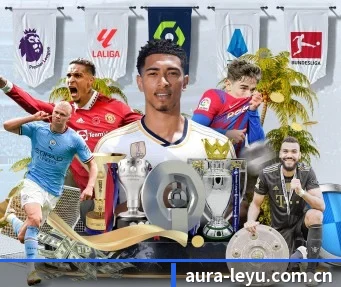 乐鱼网页版 APP - LeyuSports